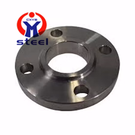 Ss 304L 316L Welding Neck Flange Slip on Flange Stainless Steel Pipe Fittings Flange