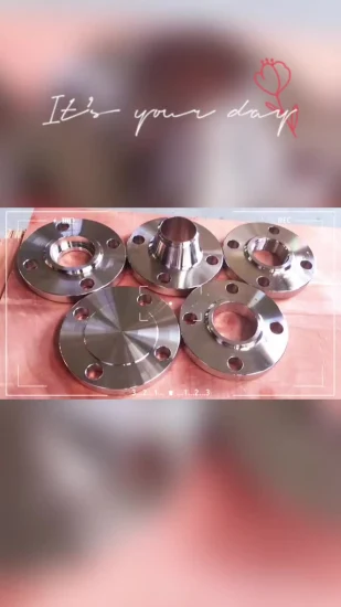 316 Stainless Steel Plant Flat Flange